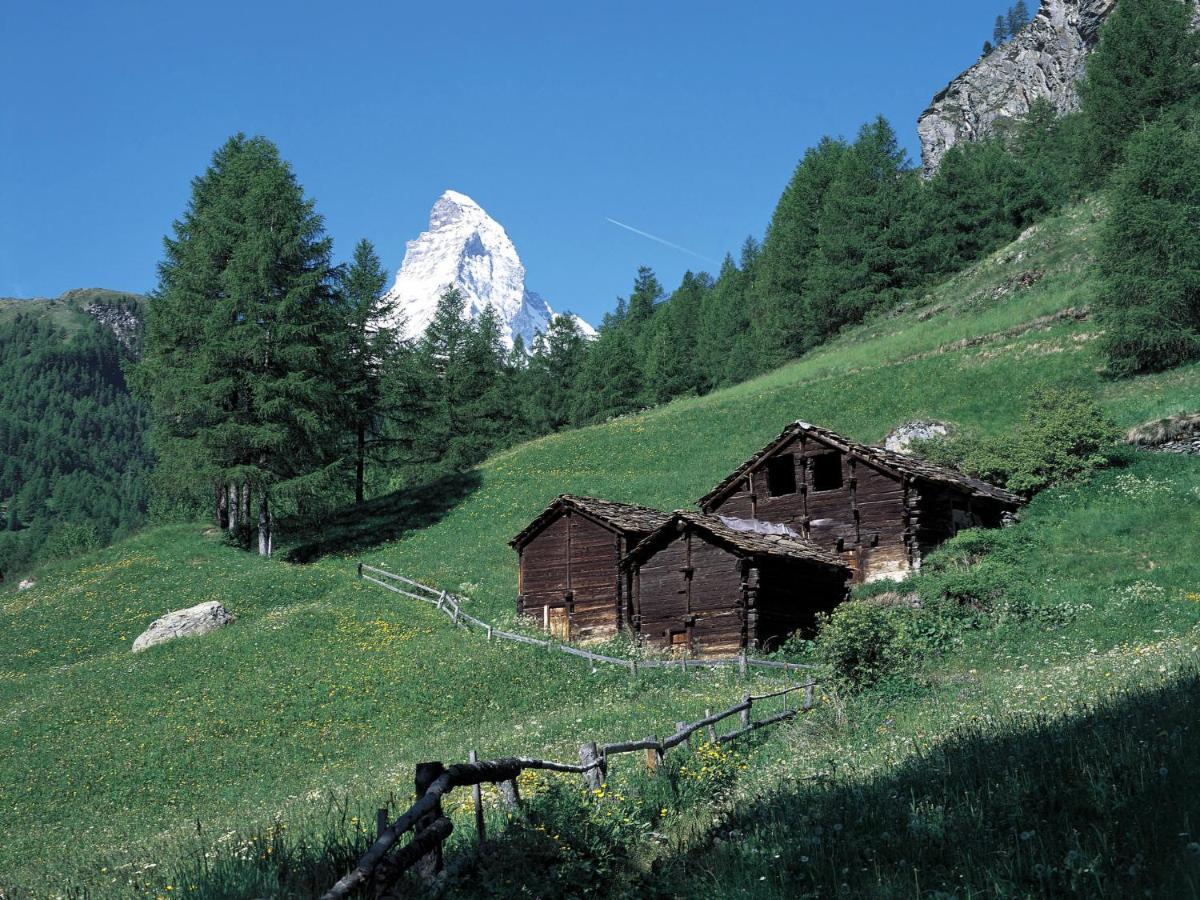 Apartment Dianthus-1 By Interhome Zermatt Zewnętrze zdjęcie